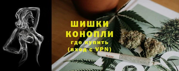 соль ск Алзамай