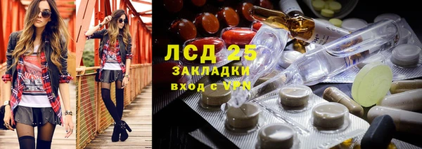 соль ск Алзамай